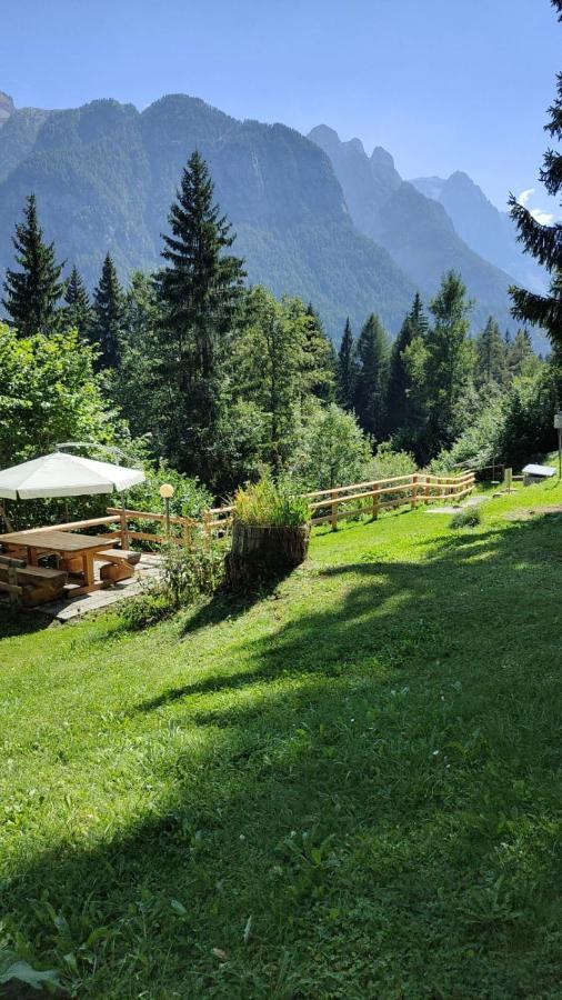 Sasso Rosso Apartment Folgarida Zewnętrze zdjęcie